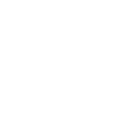 AS GUNS