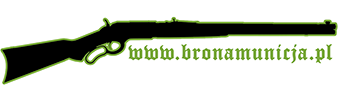 BrońAmunicja