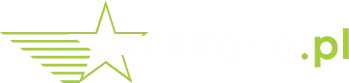 E-militaria