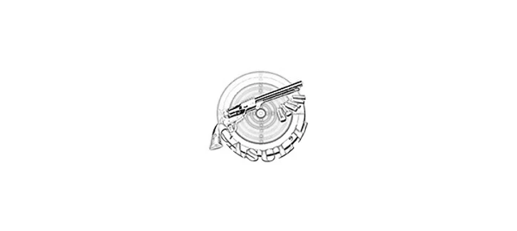 Casull