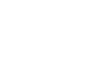 WCS Falcon